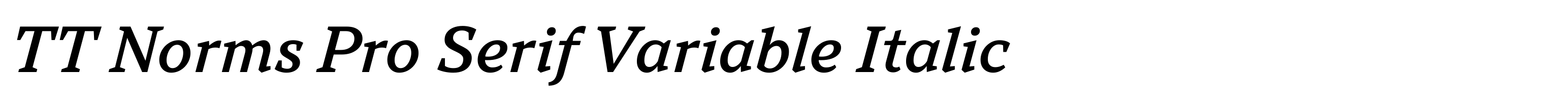 TT Norms Pro Serif Variable Italic